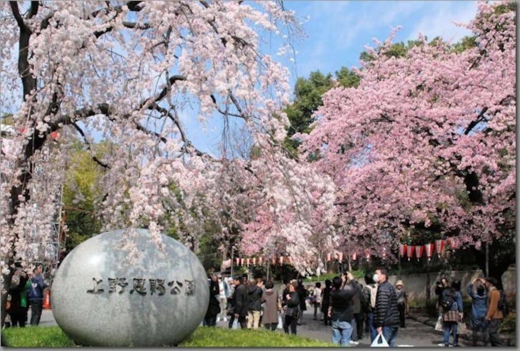 度假居 2s Jr Yamanote Komagome, 3 Storey 101sq 4br, Freepark *